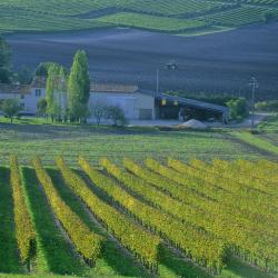 Châteaubernard 7 hotels with parking