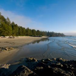 Tofino 6 resorts