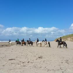 Kinlough 3 chaty