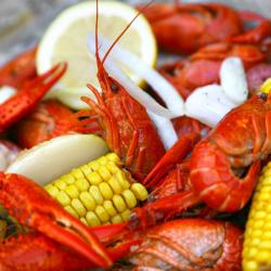 Lake Charles 5 casino hotels and resorts