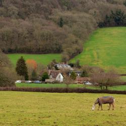 Haslemere 3 B&Bs