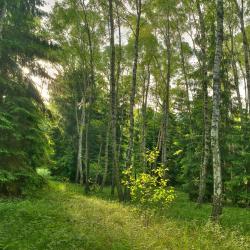 Weiden 40 hotels with parking