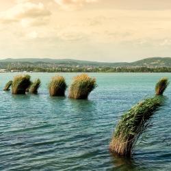 Balatongyörök 29 of the cottages