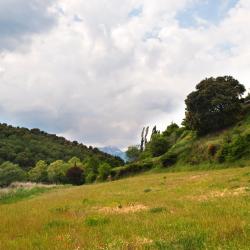 Rialp 8 hoteles con pileta