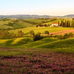 Signa 17 hot&eacute;is com estacionamento