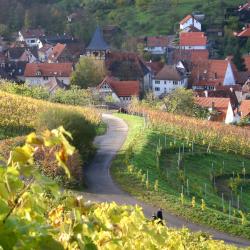 Osthofen 4 cheap hotels