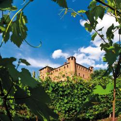 Grinzane Cavour 3 olcsó hotel