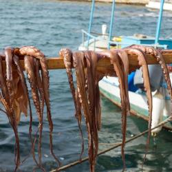 Kam&aacute;res 5 hot&eacute;is com estacionamento