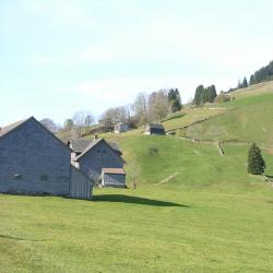 Alt Sankt Johann 6 of the holiday rentals