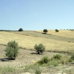 Quesada 14 cottages