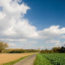 Zutendaal 3 B&B