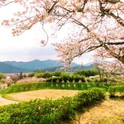 篠山市 4軒のヴィラ