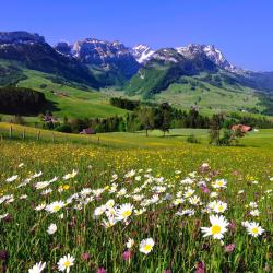Heiden 8 hotels