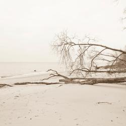 Kabli 7 boliger ved stranden