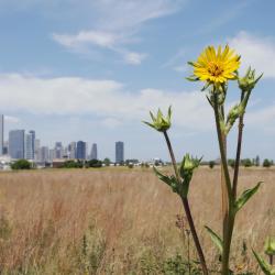 Calumet Park 3 hotely s parkováním
