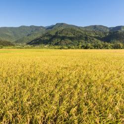 花蓮民宿日光漫旅評價、特色體驗、房價資訊、訂房連結 – 溫馨舒適親切服務 - 照片 16