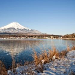 Yamanakako 15 campgrounds