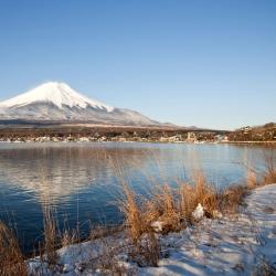 山中湖村 ホテル97軒