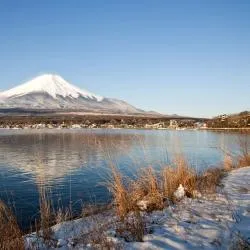 山中湖村 3軒のシャレー