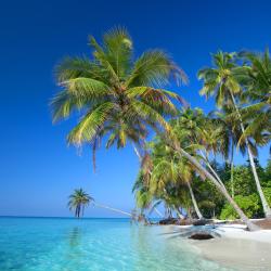 Gemanafushi 2 hotely