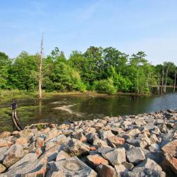 Manasquan 6 hotels