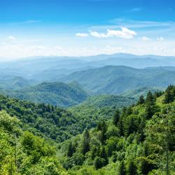 Oldham 3 hotels met zwembaden