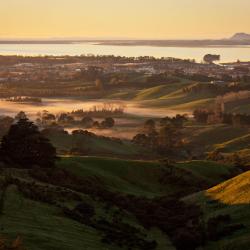 Katikati 15 hotels