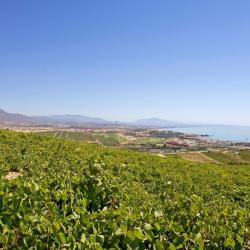 Manilva 385 beach rentals