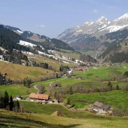 Sedrun 31 apartments