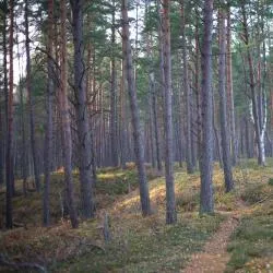 Jaunmārupe 3 hotely