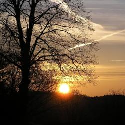 Longhope 11 pet-friendly hotels