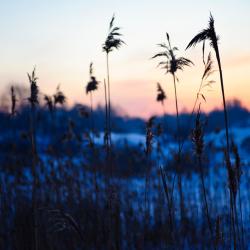 Gulbene 10 holiday rentals