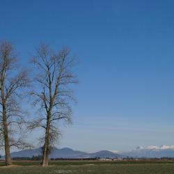 Lynden 6 hotels