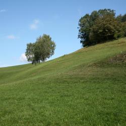 Lyss 3 間有停車位的飯店