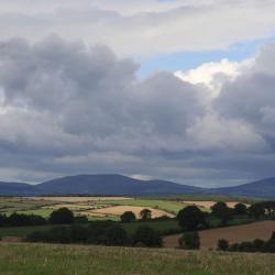 Kilmeaden 3 hotels