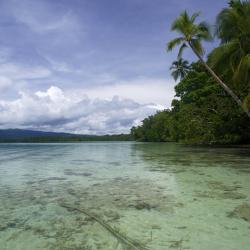 Gizo 3 hotels