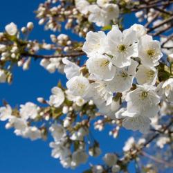 Hauzenberg 4 hot&eacute;is com banheiras de hidromassagem