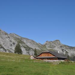 Giswil 4 holiday rentals