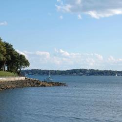 Beverly 8 huisdiervriendelijke hotels