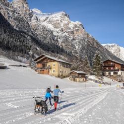 Gschnitz 3 guest houses