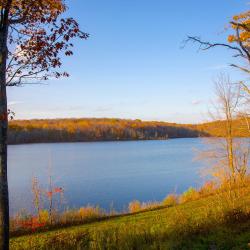 Carbondale 3 pet-friendly hotels