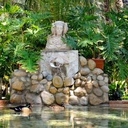 Elche 6 B&Bs