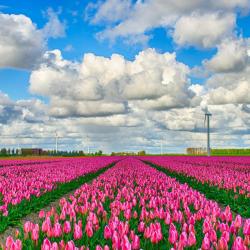 Zeewolde 3 hotely s parkovan&iacute;m