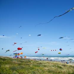 Otaki 11 hotels