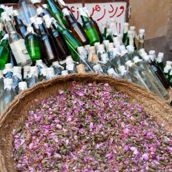 Kalaat MGouna 25 cheap hotels