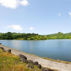 Adjuntas 4 hotels