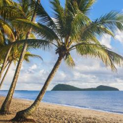 Palm Cove 129 beach rentals