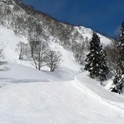 湯沢町 11軒のコテージ