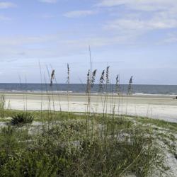 Isle of Palms 51 condos
