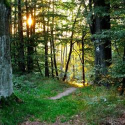 Lauscha 5 resorts de esqu&iacute;